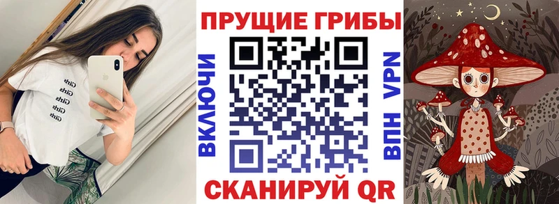 кракен ONION  где можно купить наркотик  Павловская  Псилоцибиновые грибы Psilocybine cubensis 